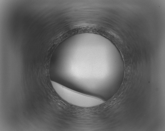 X0000071390869200606230937