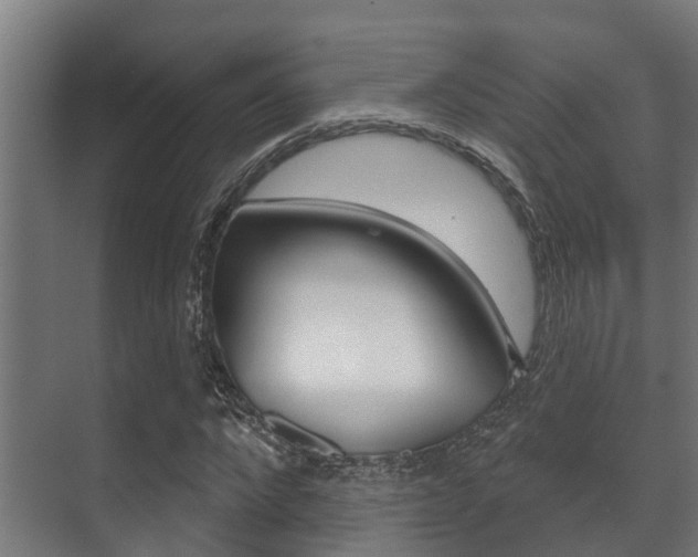 X0000071390872200606230937