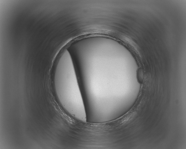 X0000071390875200606230937