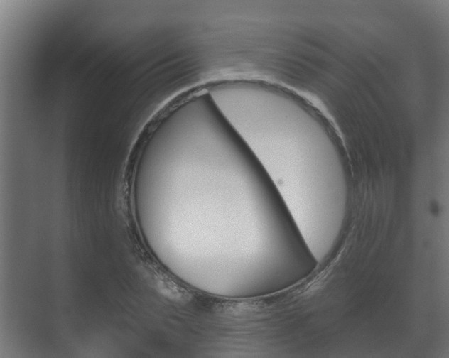 X0000071390879200606230937