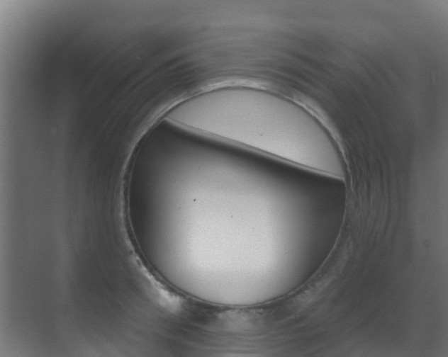 X0000071390898200606230937