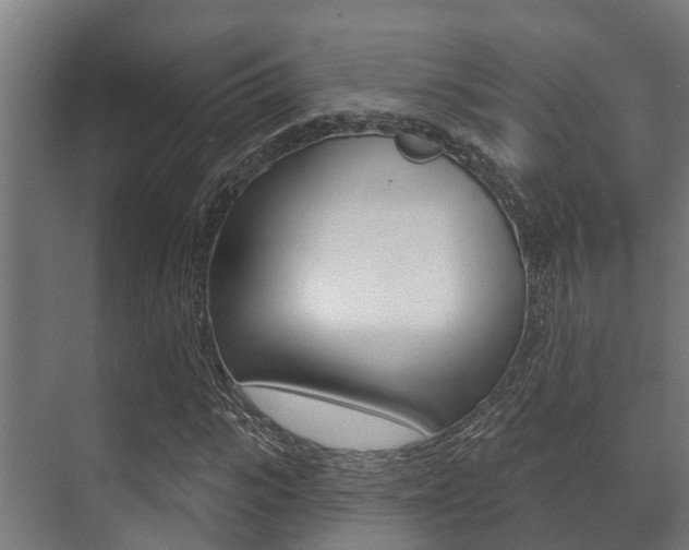 X0000071390919200606230936