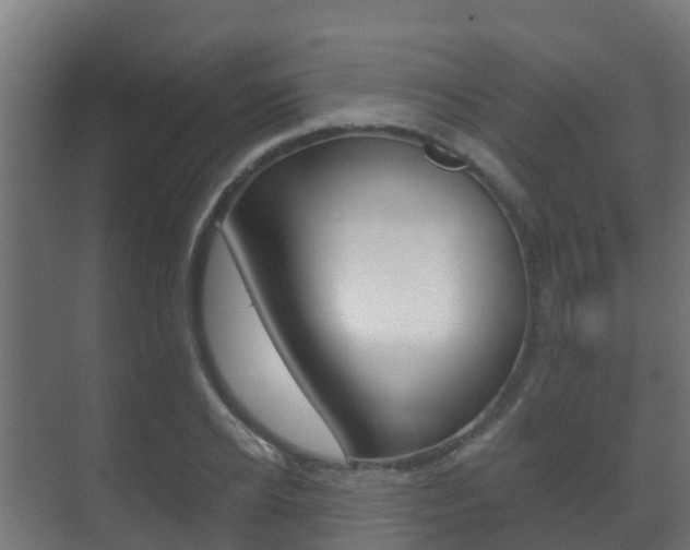 X0000071390934200606230936