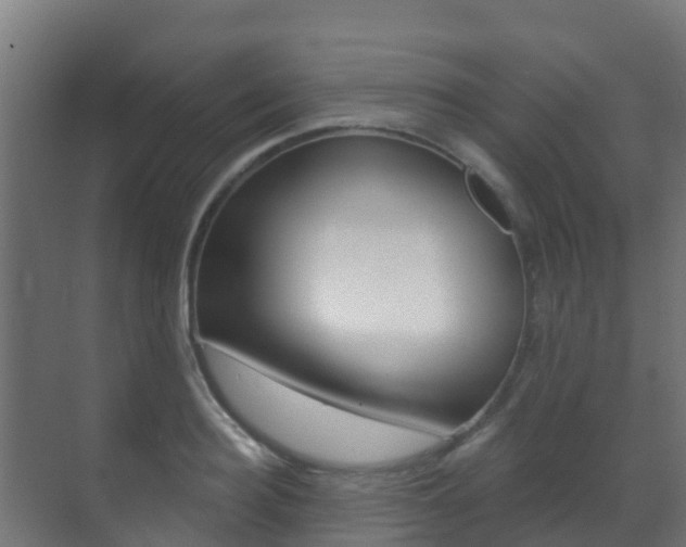 X0000071390940200606230936