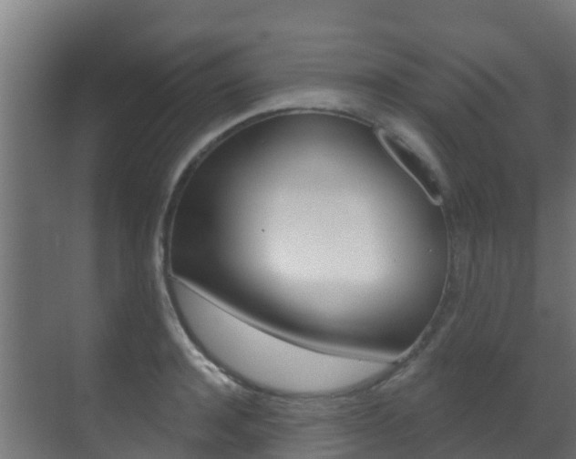 X0000071390944200606230936