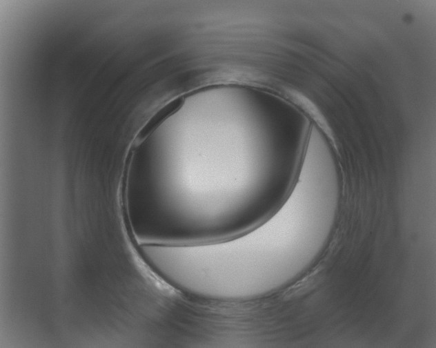 X0000071390946200606230936