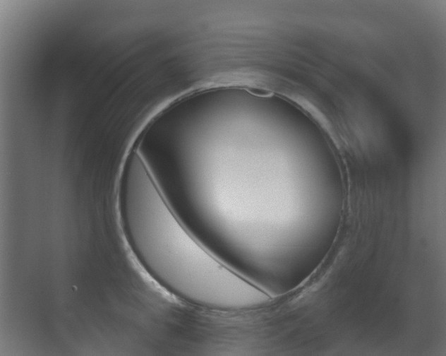 X0000071390949200606230936