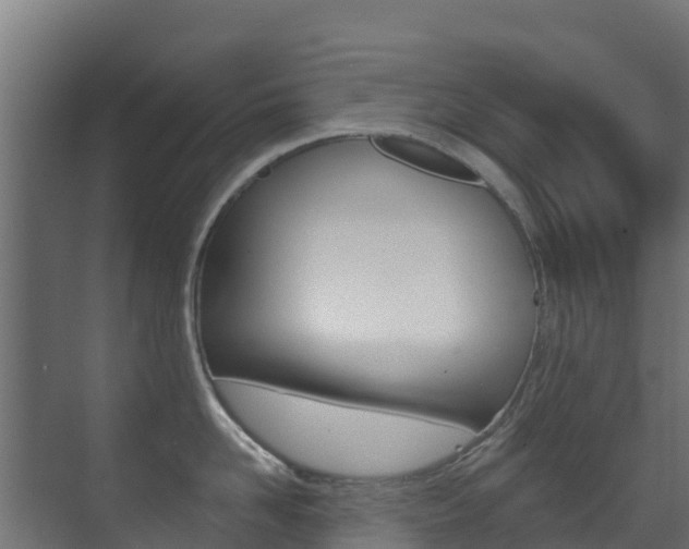 X0000071390958200606230936