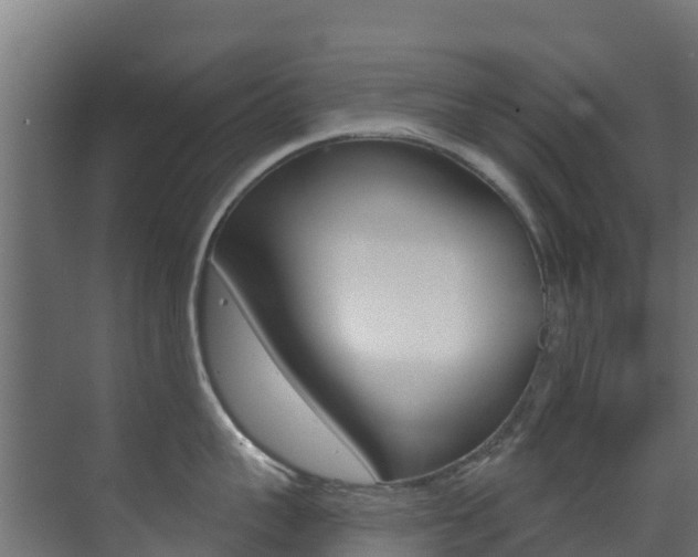 X0000071390959200606230936