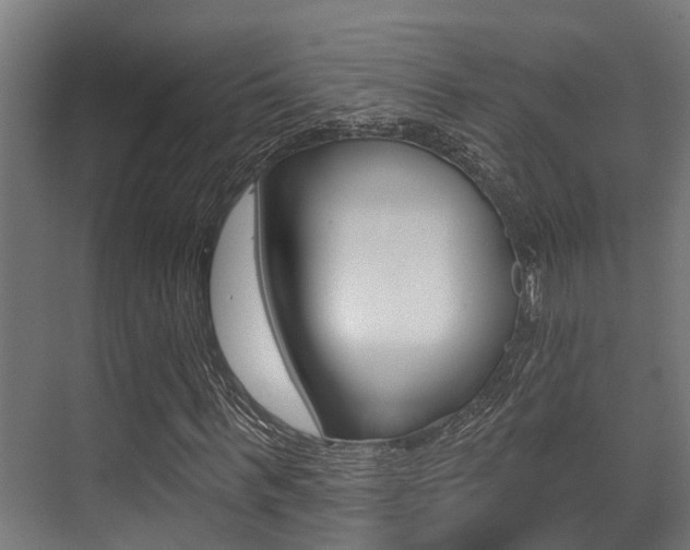 X0000071390963200606230935