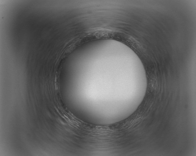 X0000071390964200606230935