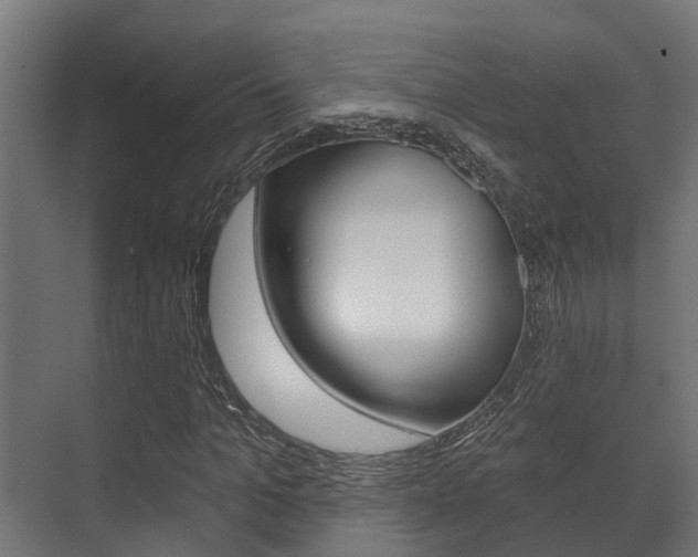 X0000071390965200606230935