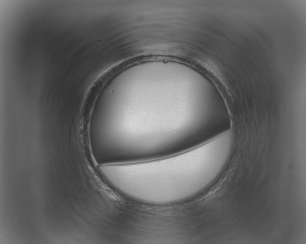 X0000071390971200606230935