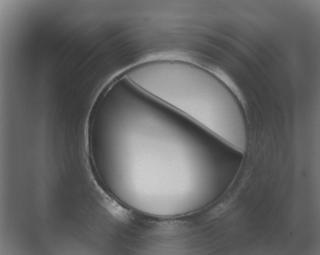 X0000071390988200606230935