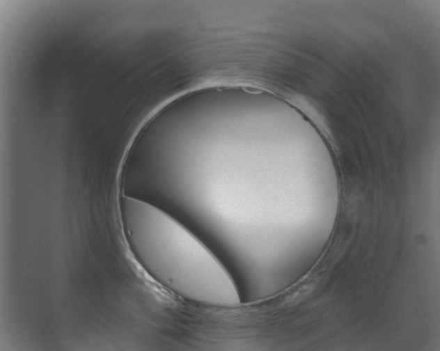 X0000071391004200606230935