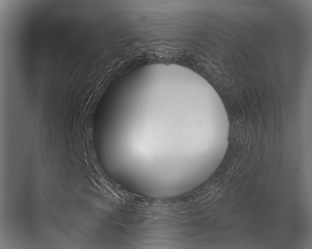 X0000071391009200606230934
