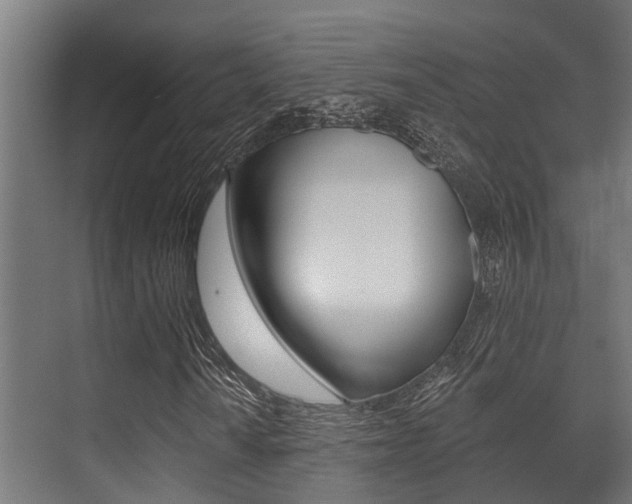 X0000071391010200606230934