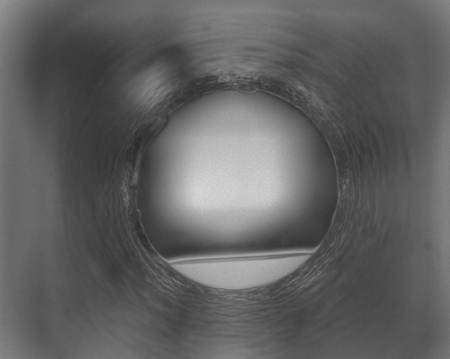 X0000071391012200606230934