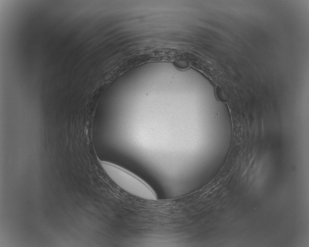 X0000071391013200606230934