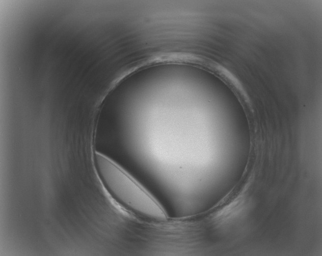 X0000071391041200606230934