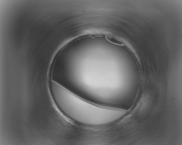 X0000071391045200606230935