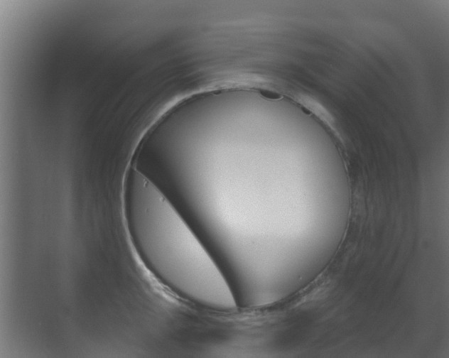 X0000071391047200606230935