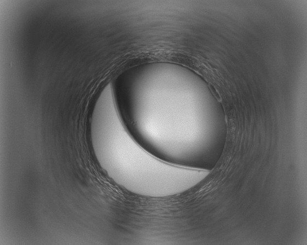 X0000071391057200606230934
