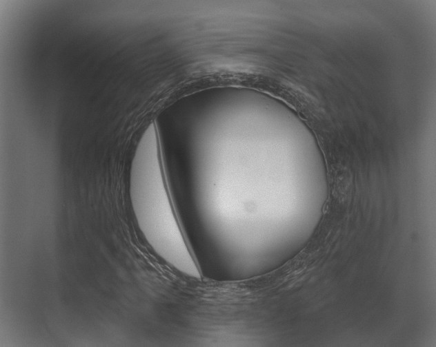 X0000071391061200606230934