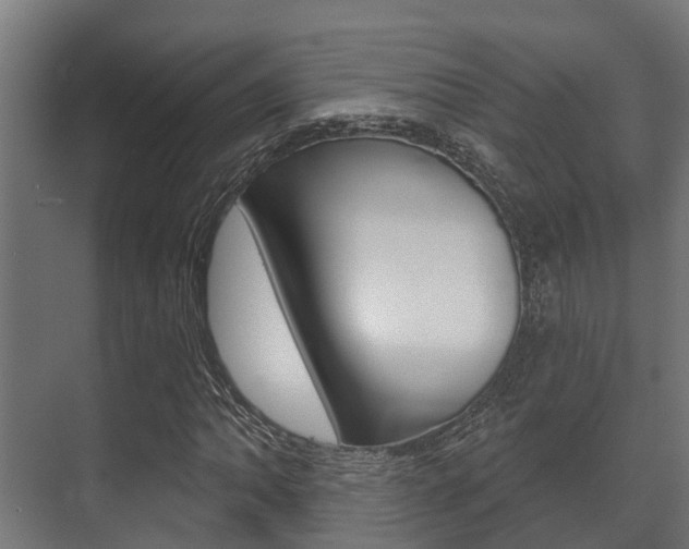 X0000071391062200606230934