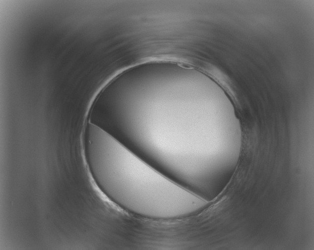 X0000071391100200606230933