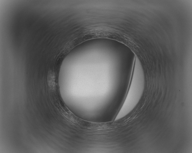 X0000071391108200606230932