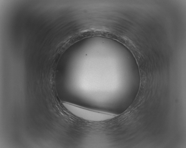 X0000071391110200606230932
