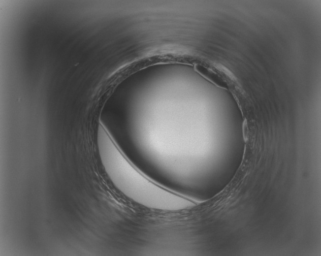 X0000071391112200606230932