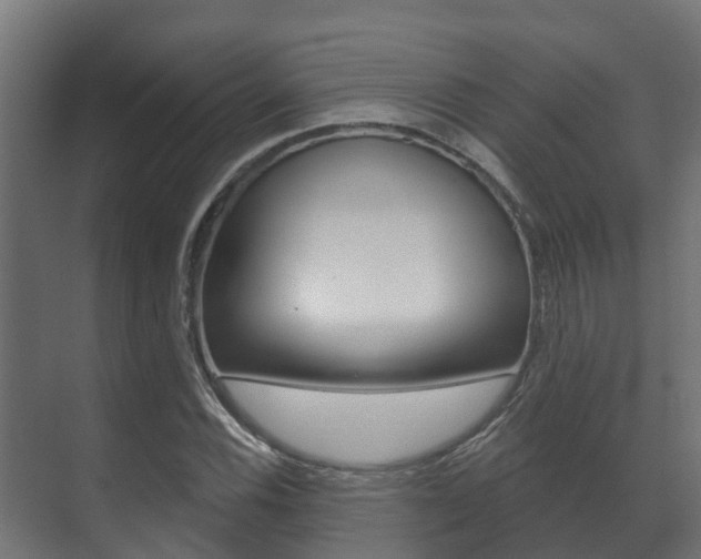 X0000071391116200606230932
