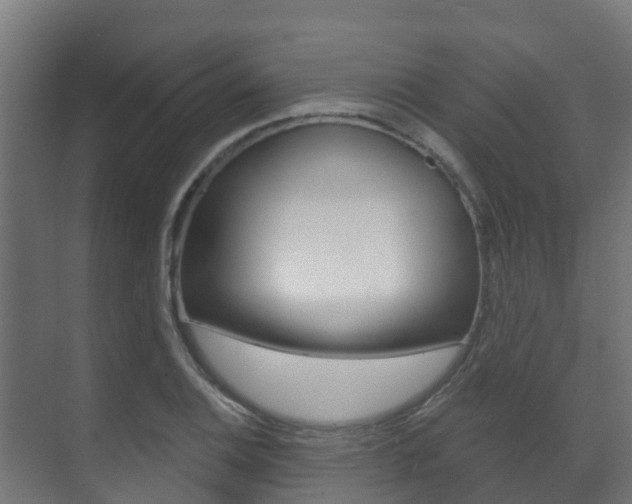 X0000071391124200606230933
