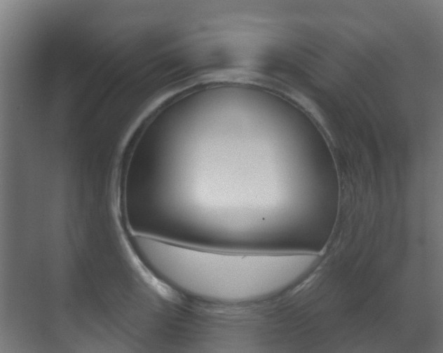 X0000071391131200606230933