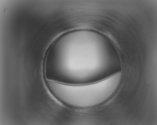X0000071391134200606230933