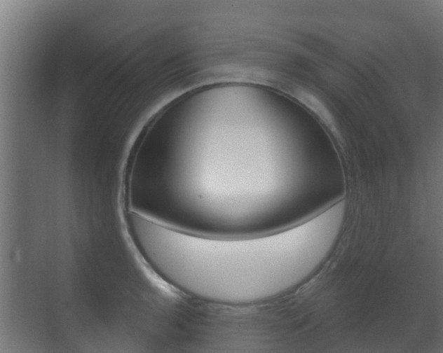 X0000071391136200606230933
