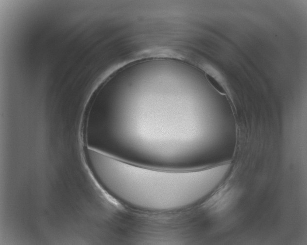 X0000071391141200606230933