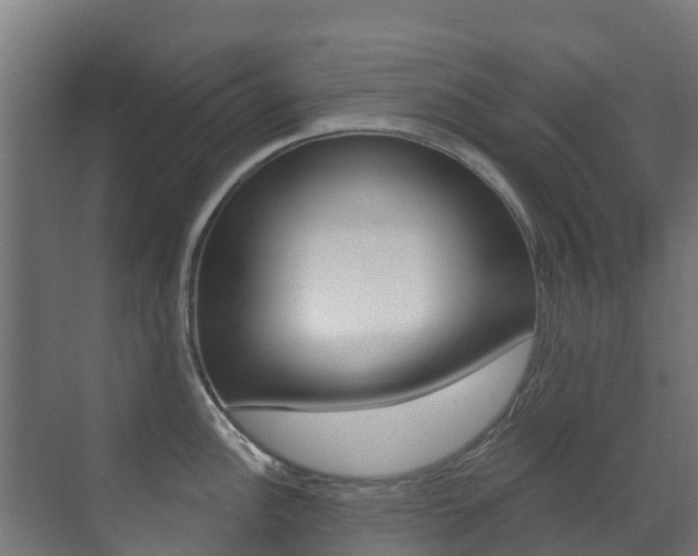 X0000071391148200606230933