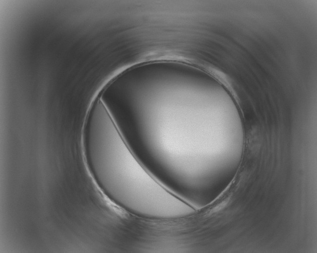 X0000071391149200606230933