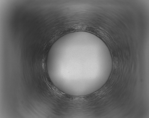 X0000071391154200606230932