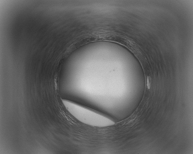 X0000071391155200606230932