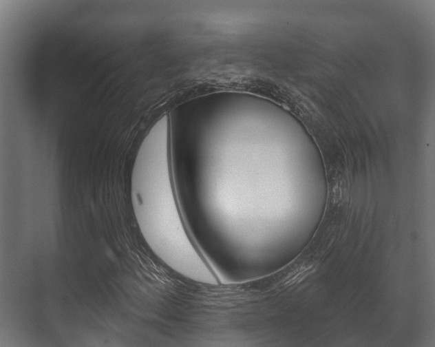 X0000071391156200606230932