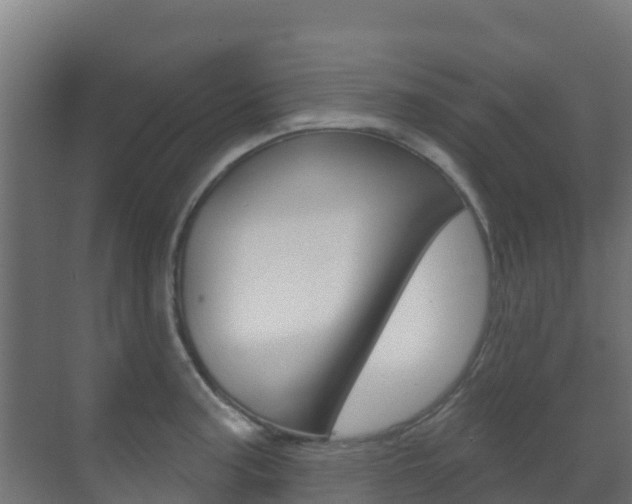 X0000071391187200606230932
