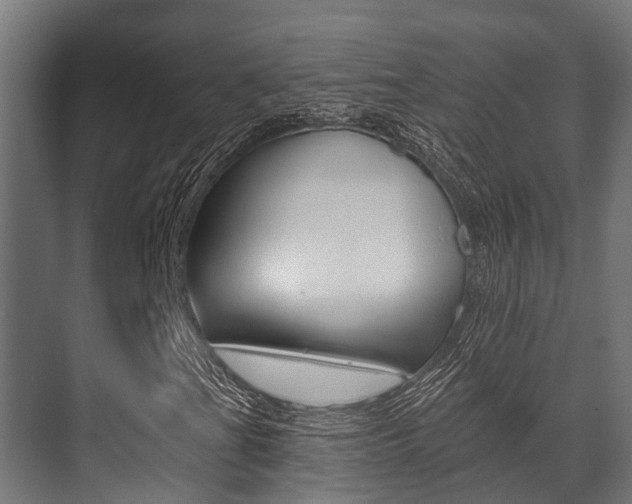 X0000071391201200606230931