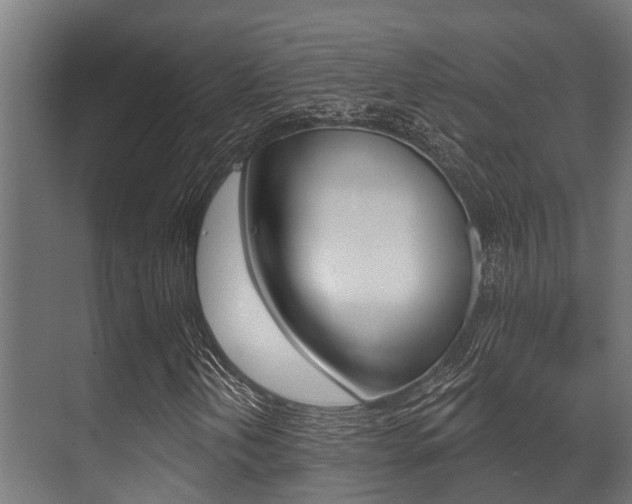 X0000071391202200606230931