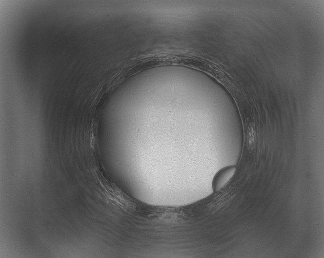 X0000071391204200606230931