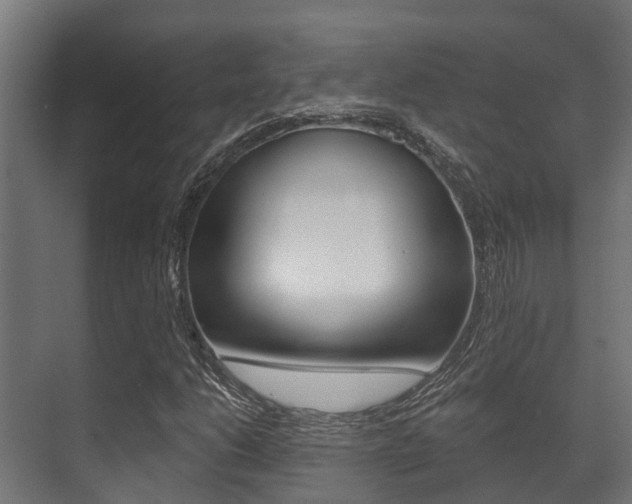 X0000071391206200606230931