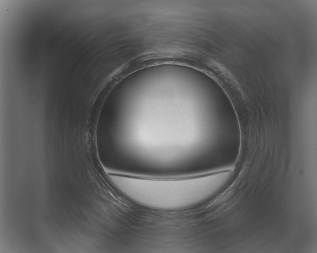 X0000071391210200606230931